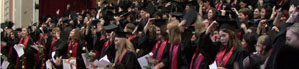 laurea10 laurea10